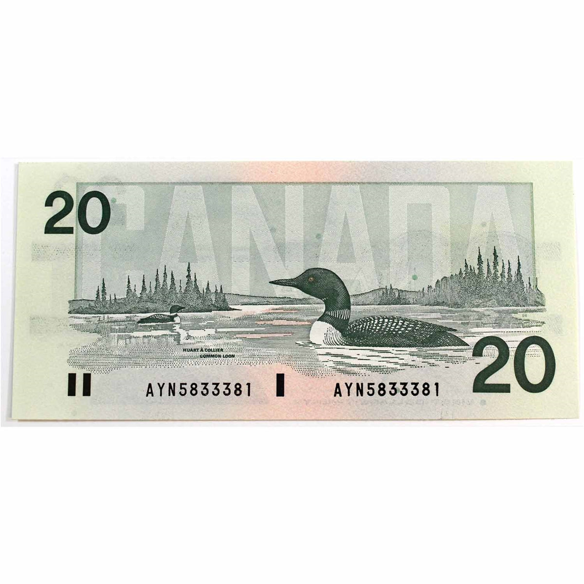 BC-58d-i 1991 Canada $20 Knight-Dodge, AYN, Choice Uncirculated (CUNC63)