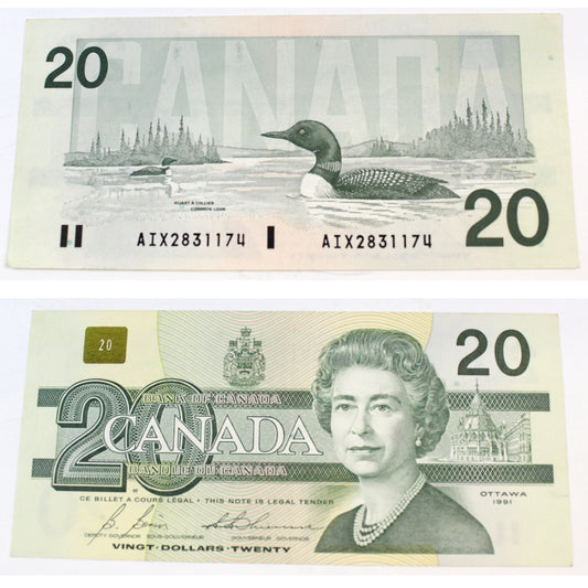 BC-58bA-i 1991 Canada $20 Bonin-Thiessen, AIX, VF-EF