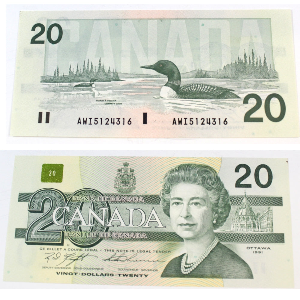 BC-58c 1991 Canada $20 Knight-Thiessen, AWI, Uncirculated (MS60)