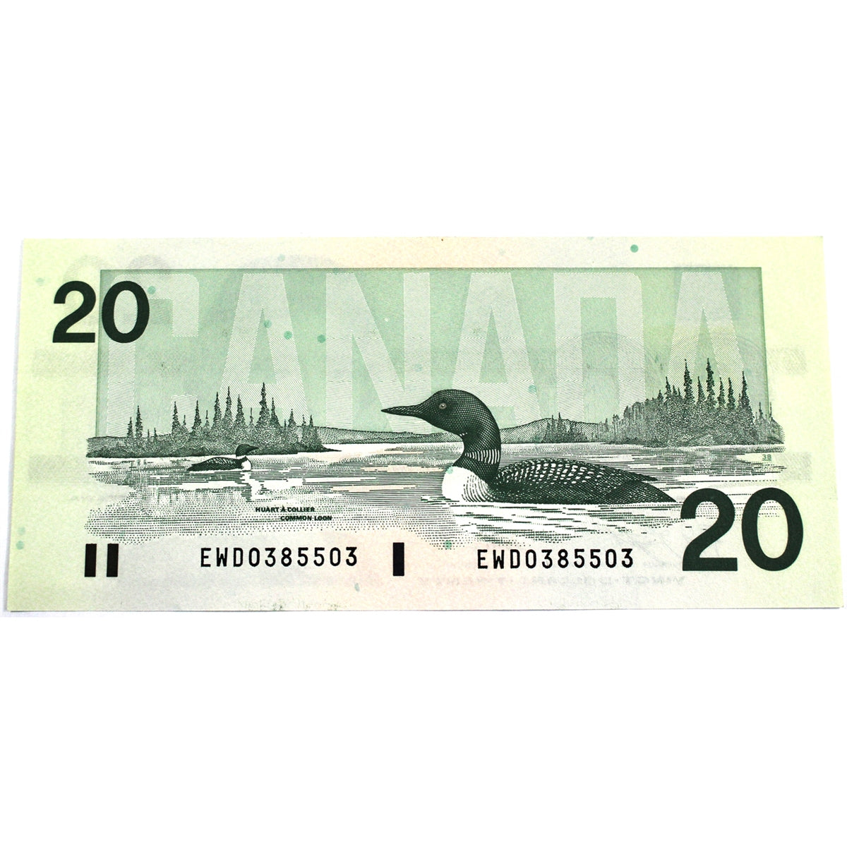 BC-58d 1991 Canada $20 Knight-Dodge, EWD, Uncirculated (MS60)