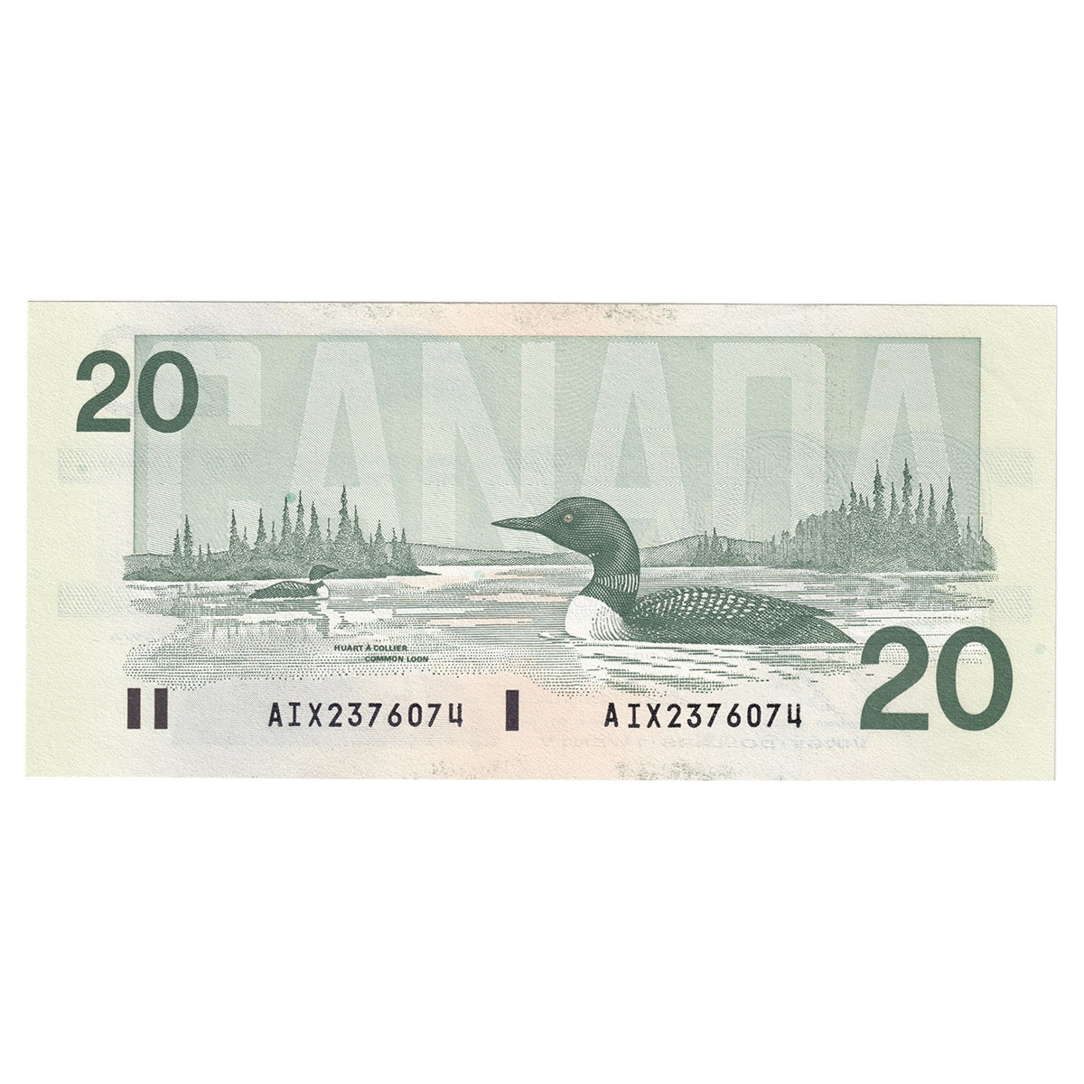 BC-58bA-i 1991 Canada $20 Bonin-Thiessen, AIX, AU-UNC