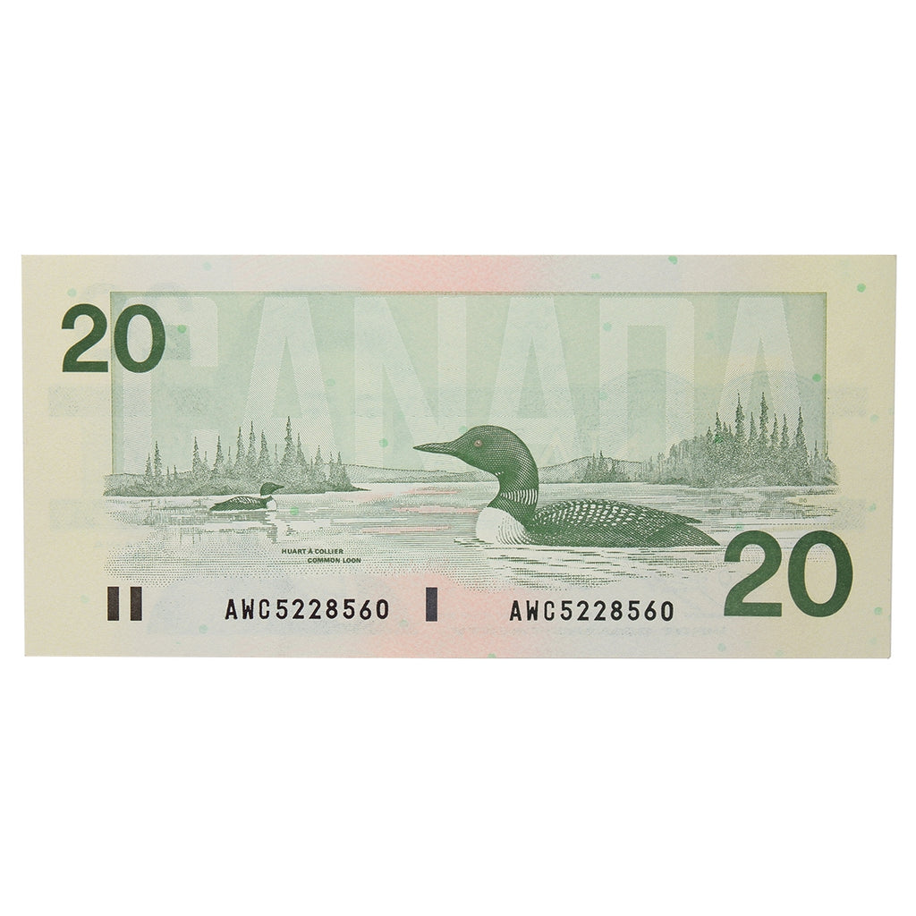 BC-58c 1991 Canada $20 Knight-Thiessen, AWC, EF-AU (EF45)