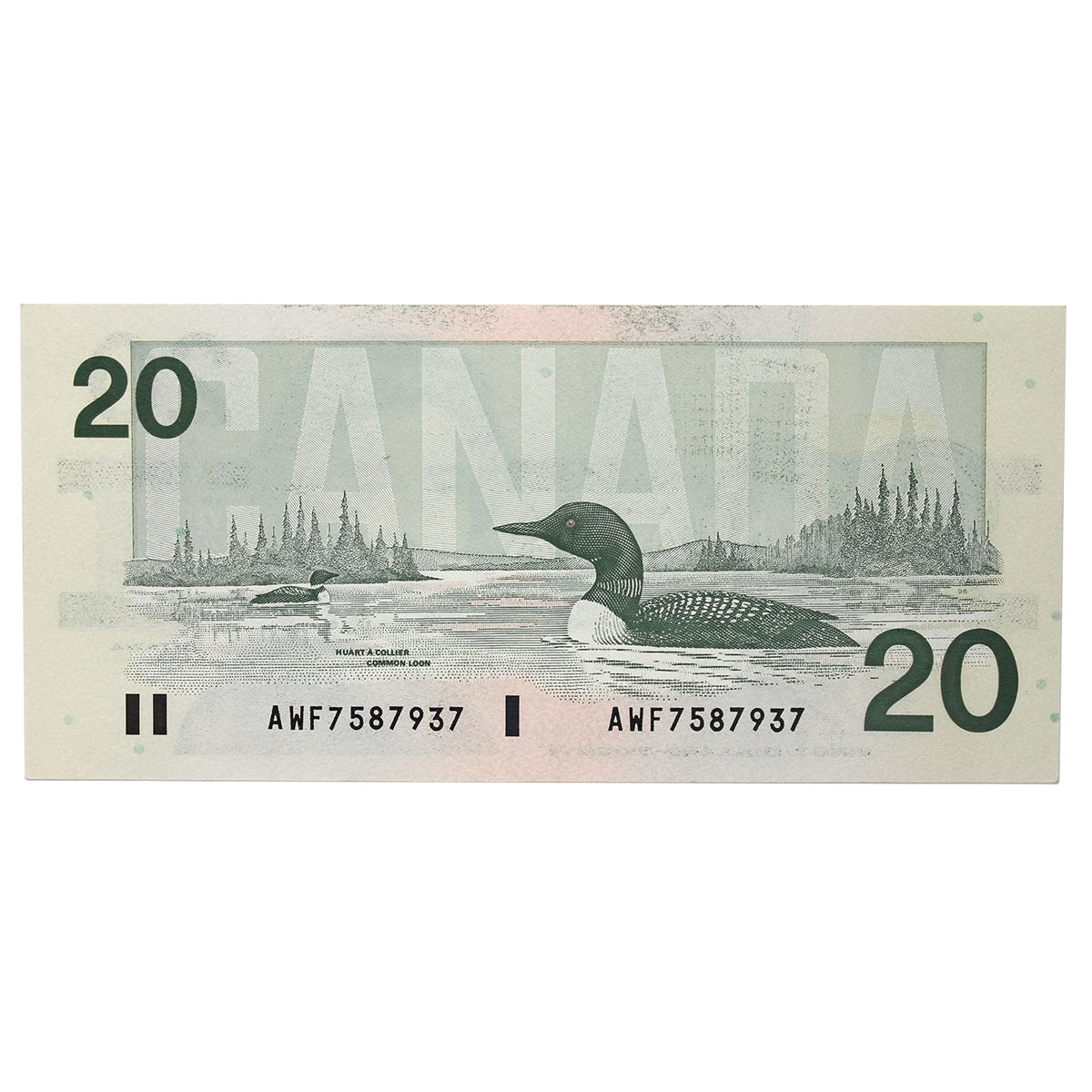 BC-58c 1991 Canada $20 Knight-Thiessen, AWF, Almost Uncirculated (AU50)