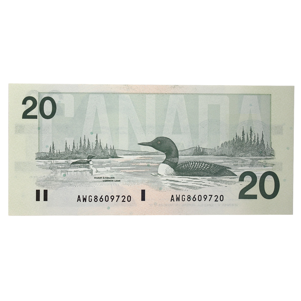 BC-58c 1991 Canada $20 Knight-Thiessen, AWG, AU-UNC (AU55)