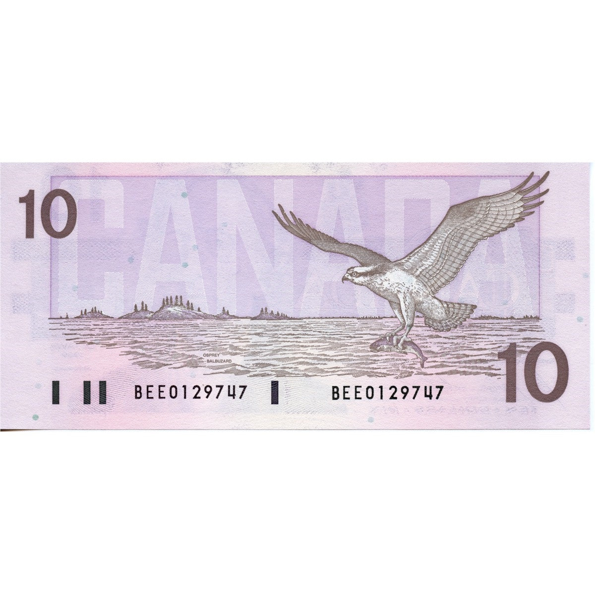 BC-57b 1989 Canada $10 Bonin-Thiessen, BEE, Uncirculated (MS60)