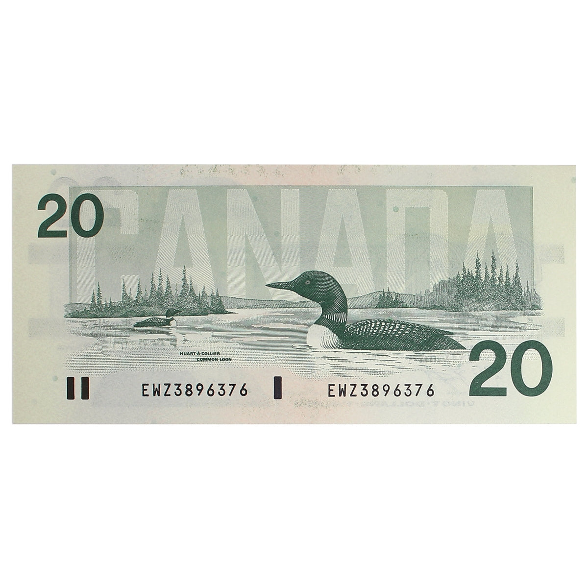 BC-58dA 1991 Canada $20 Knight-Dodge, EWZ (3.888-4.050), Choice Uncirculated (CUNC63)