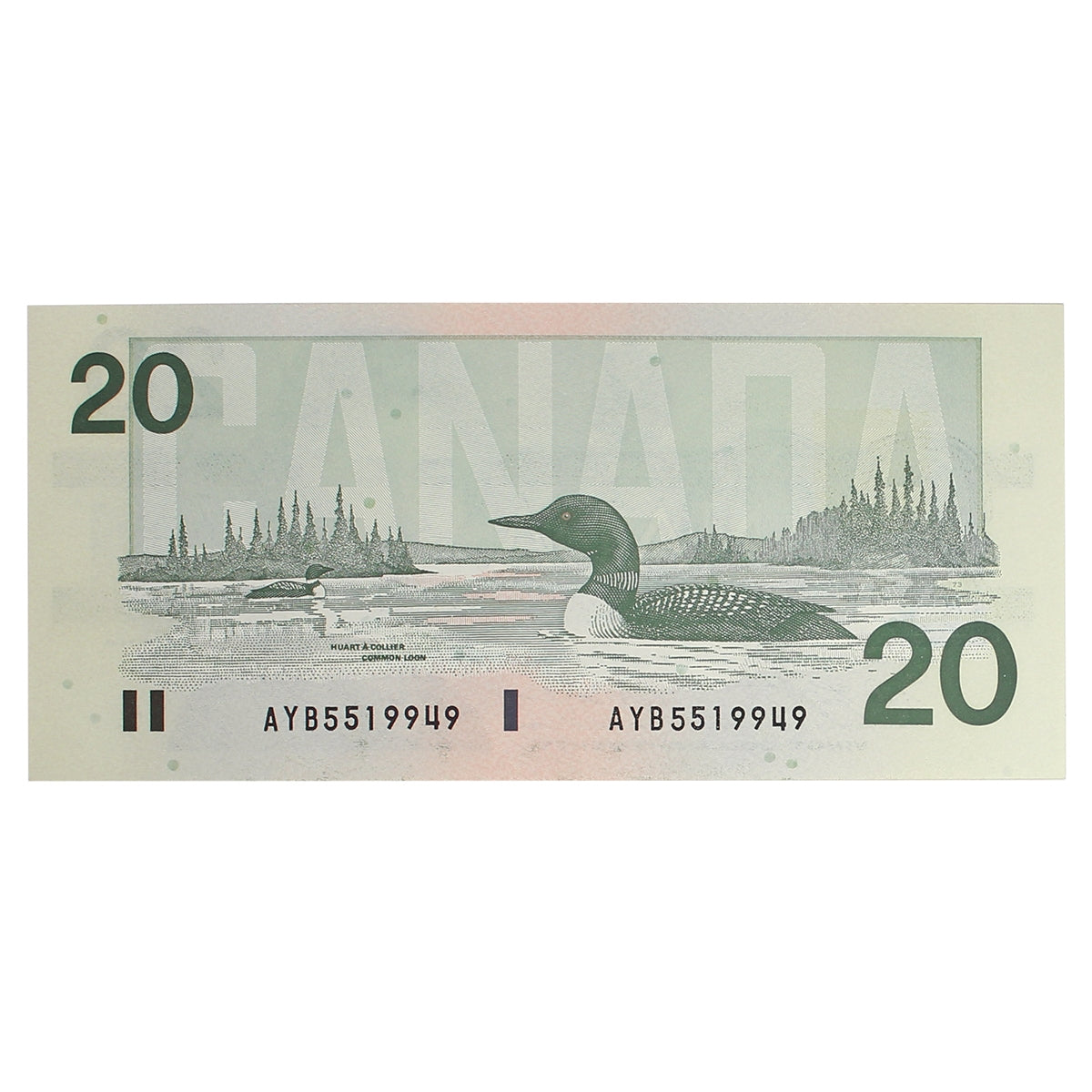 BC-58d-i 1991 Canada $20 Knight-Dodge, AYB, Uncirculated (MS60)