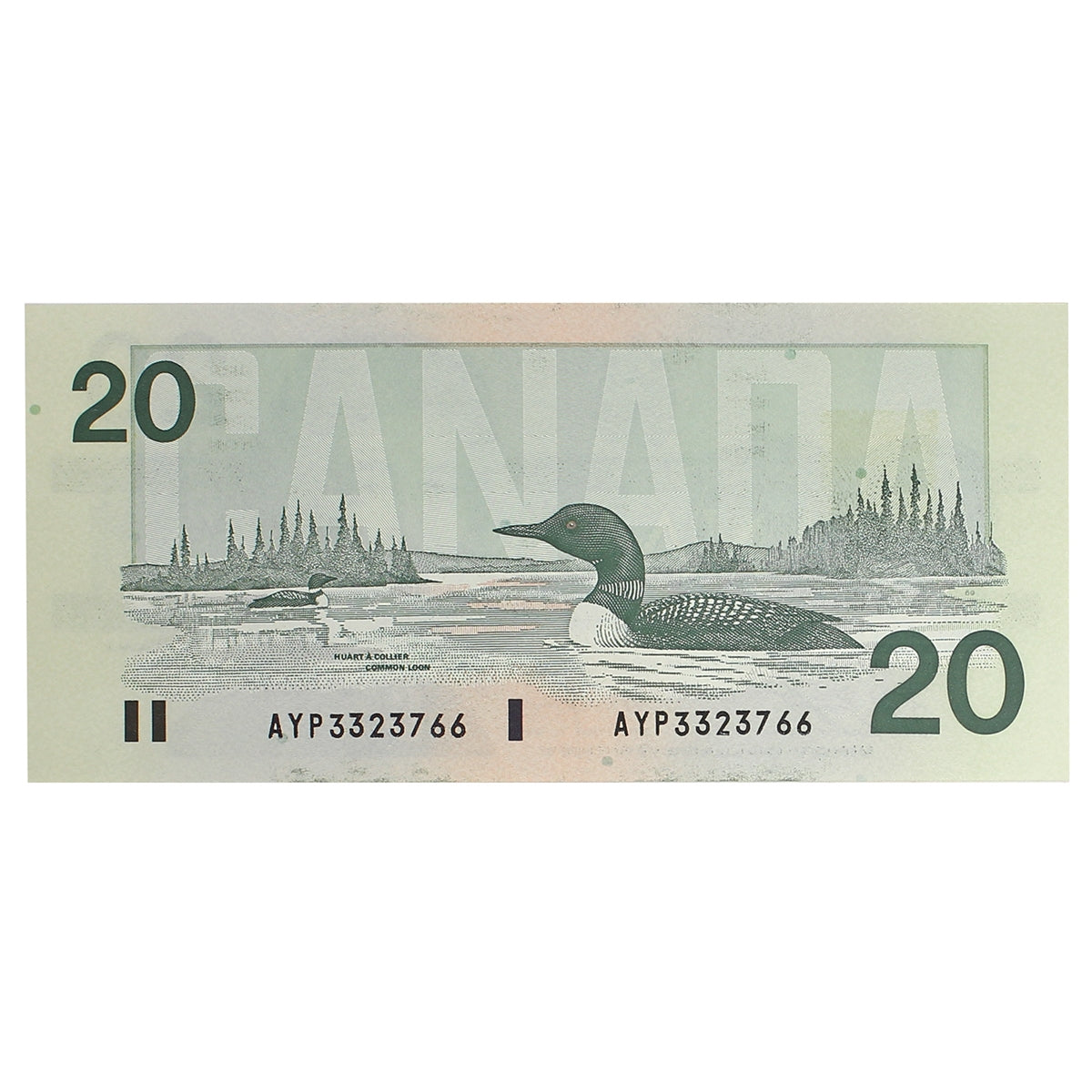 BC-58d-i 1991 Canada $20 Knight-Dodge, AYP, Uncirculated (MS60)
