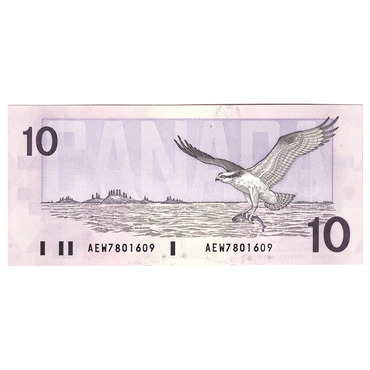 BC-57a 1989 Canada $10 Thiessen-Crow, AEW, AU-UNC (AU55)