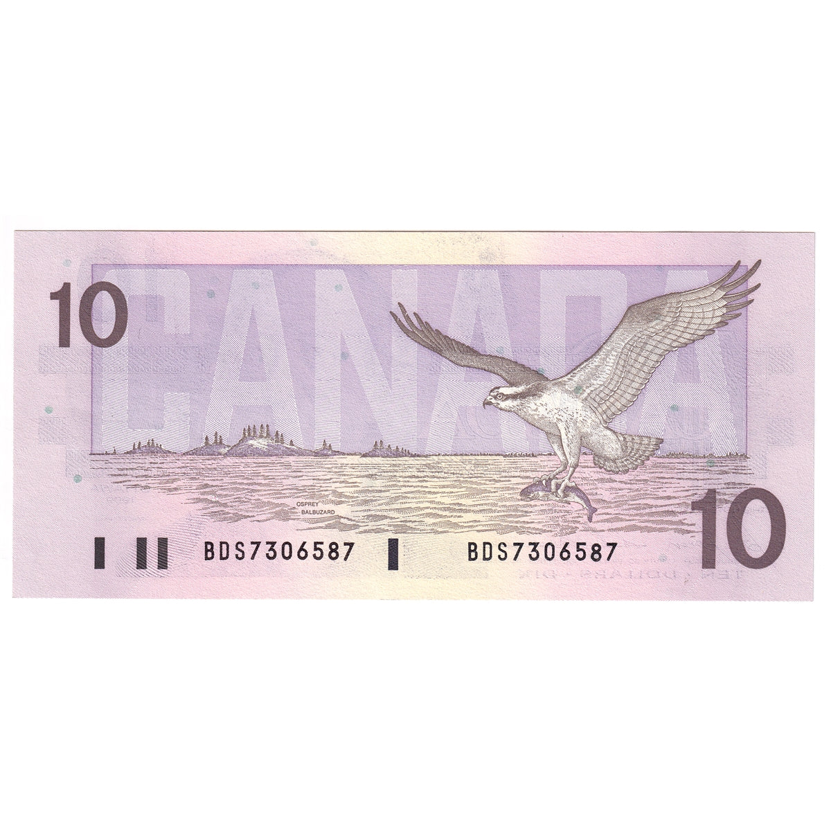 BC-57b 1989 Canada $10 Bonin-Thiessen, BDS, AU-UNC (AU55)