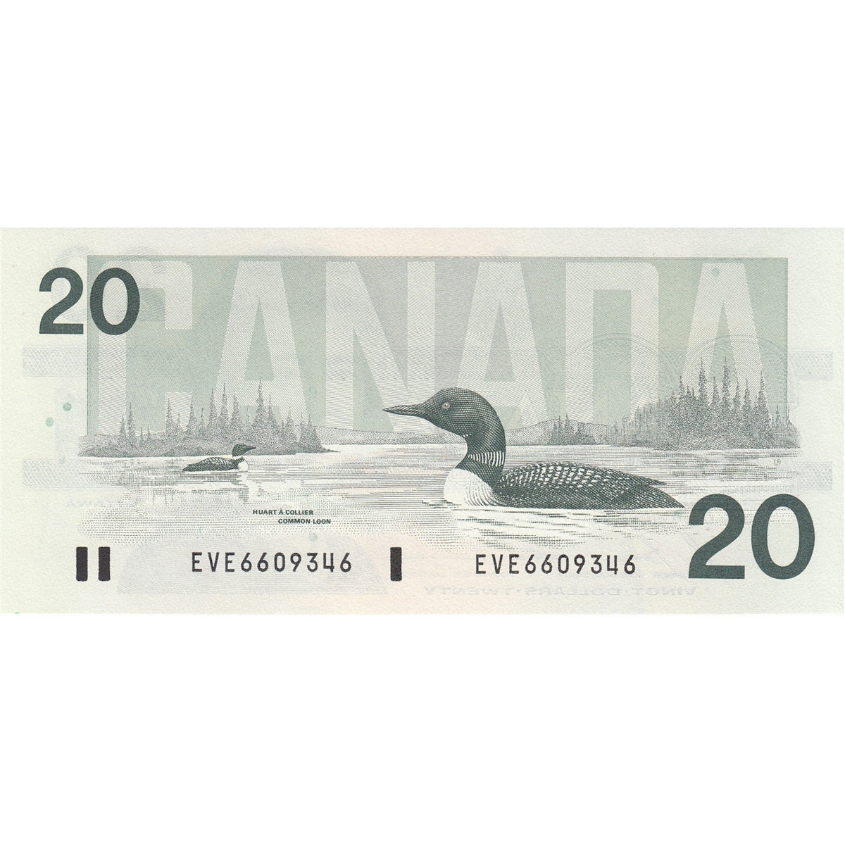 BC-58b 1991 Canada $20 Bonin-Thiessen, EVE, Choice Uncirculated (CUNC63)