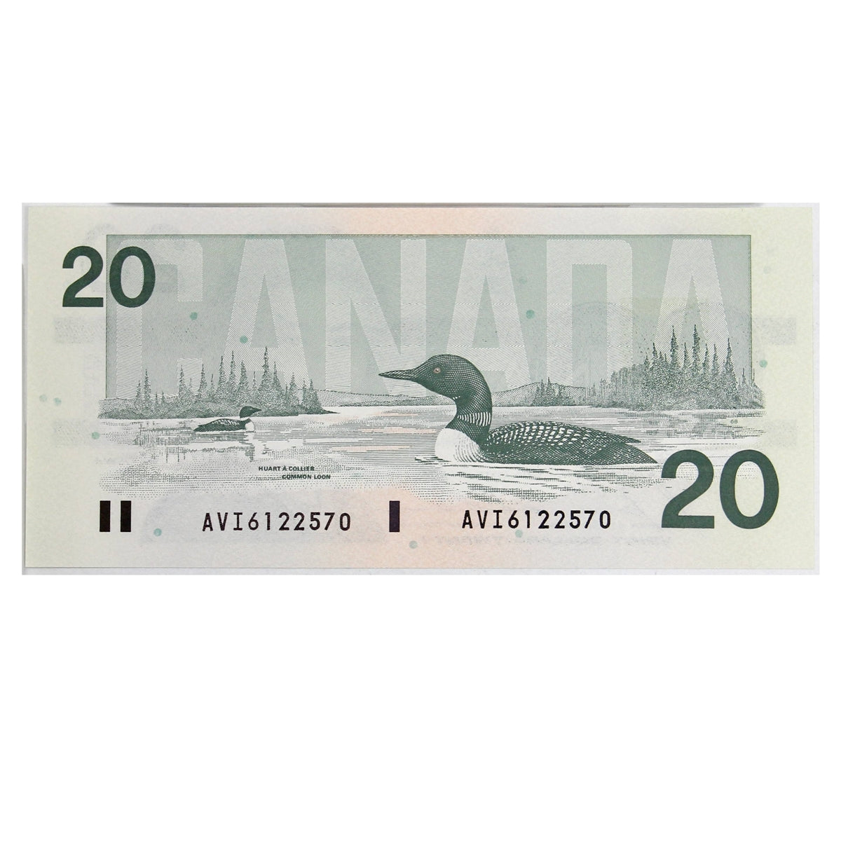 BC-58b-i 1991 Canada $20 Bonin-Thiessen, AVI, Choice Uncirculated (CUNC63)
