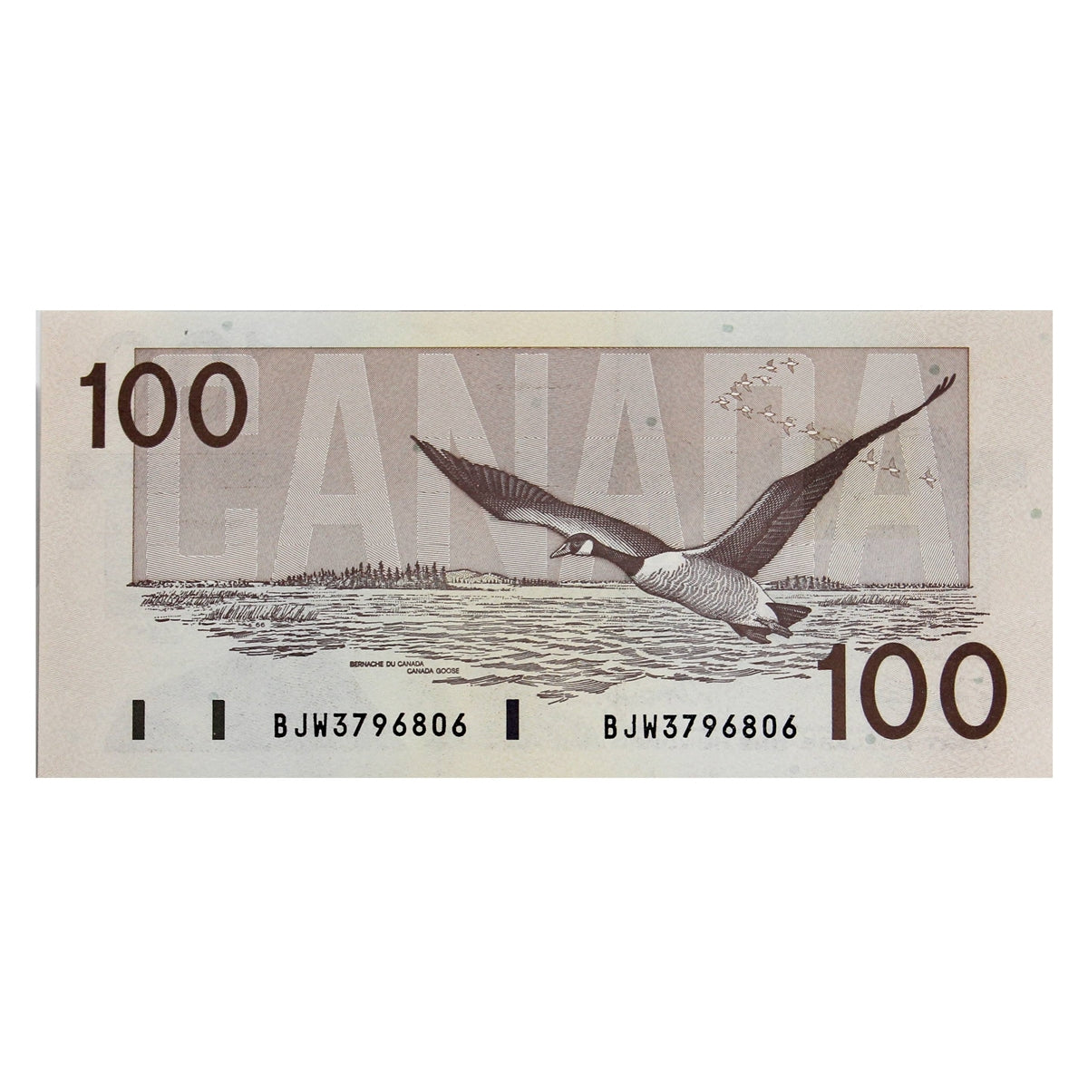 BC-60d 1988 Canada $100 Knight-Dodge, BJW, Uncirculated (MS60)