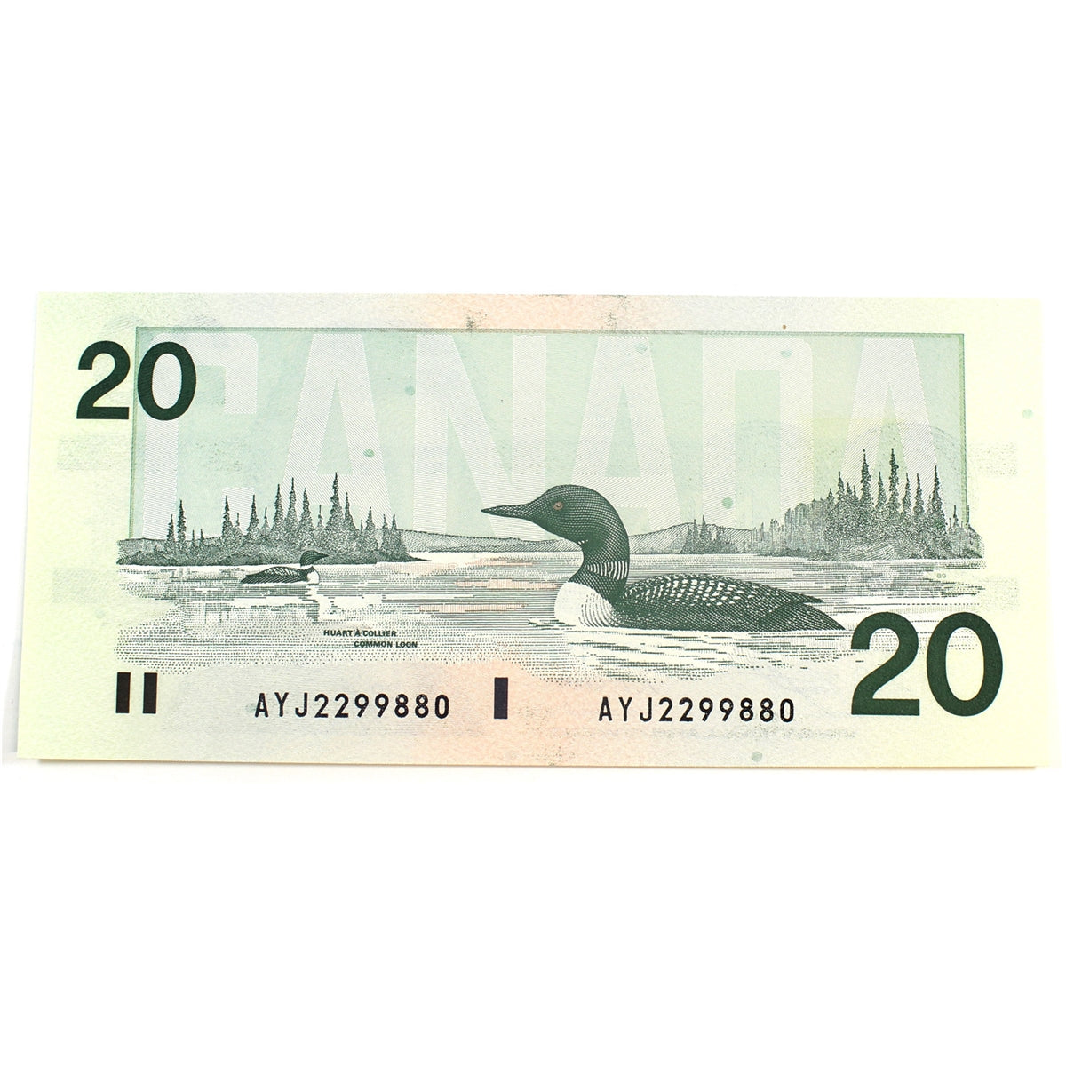 BC-58d-i 1991 Canada $20 Knight-Dodge, AYJ, Uncirculated (MS60)