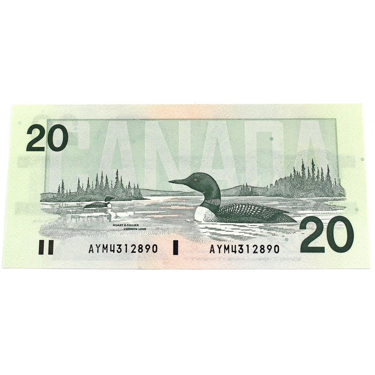 BC-58d-i 1991 Canada $20 Knight-Dodge, AYM, Uncirculated (MS60)