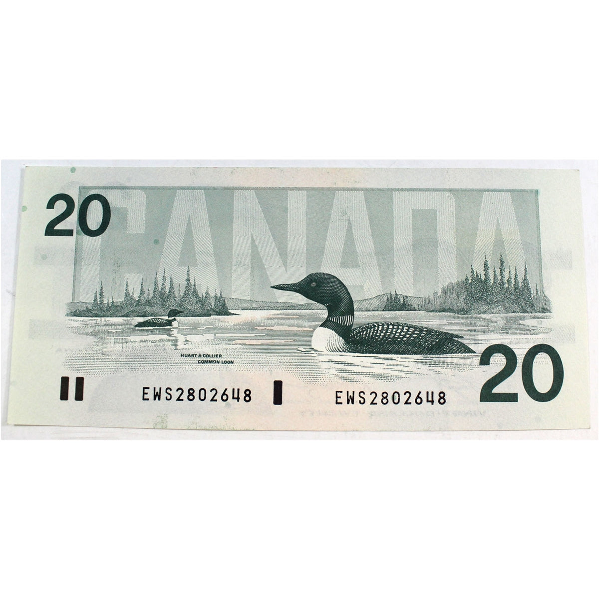 BC-58d 1991 Canada $20 Knight-Dodge, EWS, AU-UNC (AU55)