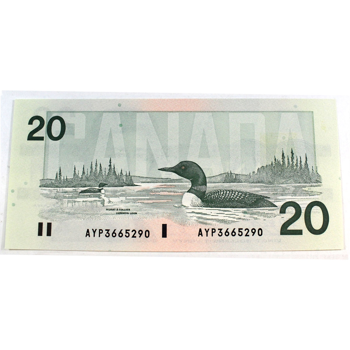 BC-58d-i 1991 Canada $20 Knight-Dodge, AYP, CUNC
