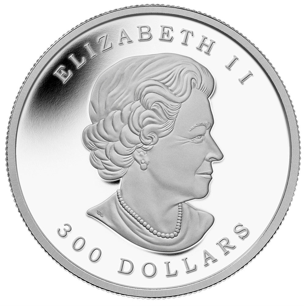 2014 Canada $300 Maple Leaf Forever Platinum (No Tax) sleeve bent on corner