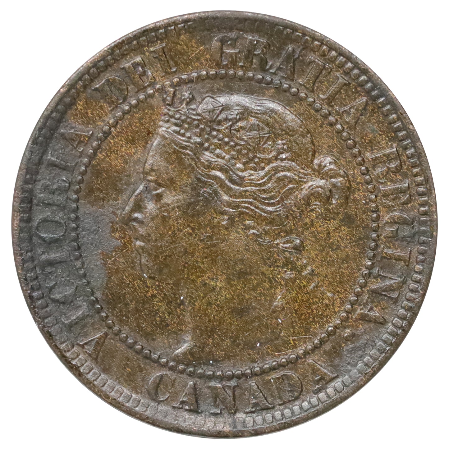 1895 Canada 1-cent Extra Fine (EF40) Scratched, marks, or impaired