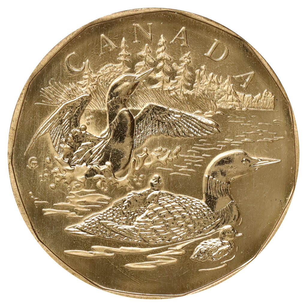 2002 Canada Family of Loons Dollar (Scratched, marks, or impaired)