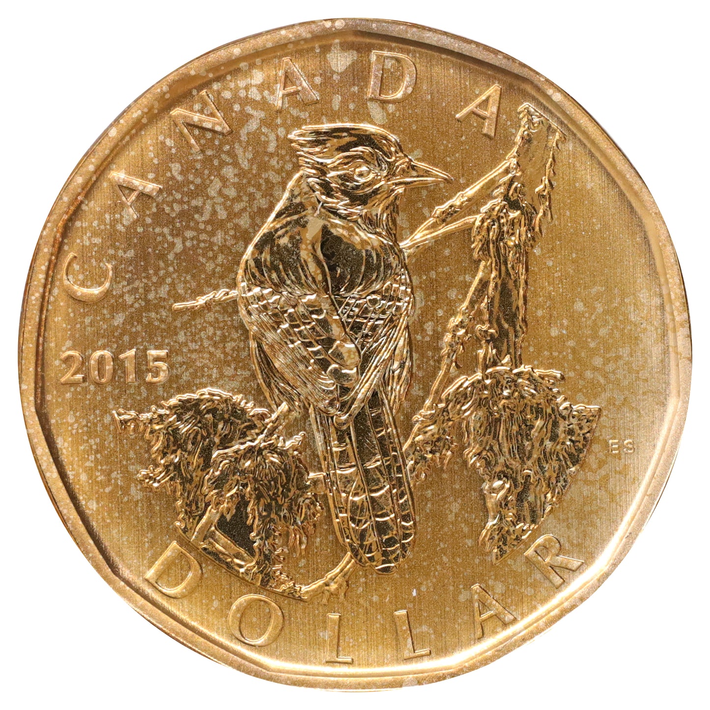 2015 Canada Blue Jay Dollar Specimen (Scratched, marks, or impaired)