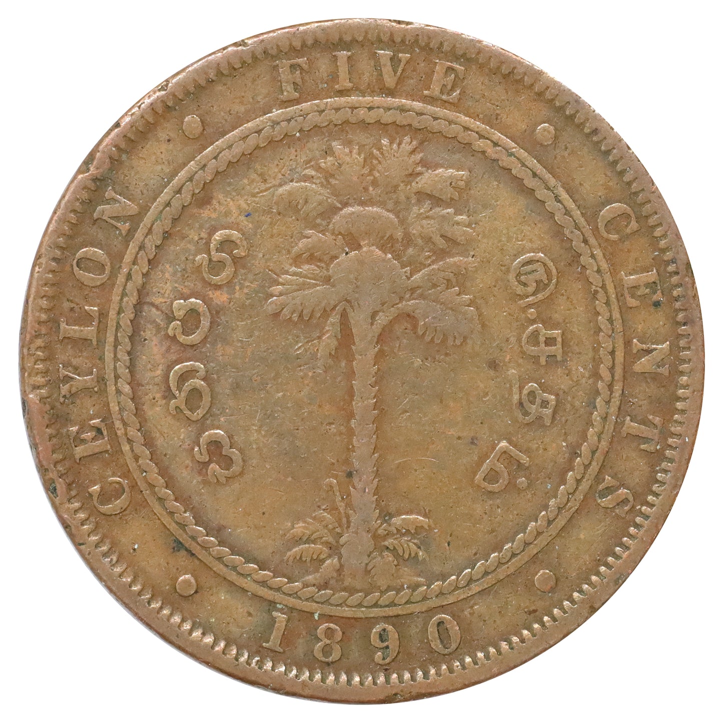 Ceylon 1890 Victoria 5 Cents Fine (F12) DOD