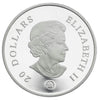 RDC 2008 Canada $20 Amethyst Crystal Snowflake Fine Silver (No Tax) impaired