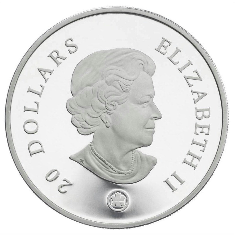 RDC 2008 Canada $20 Amethyst Crystal Snowflake Fine Silver (No Tax) impaired