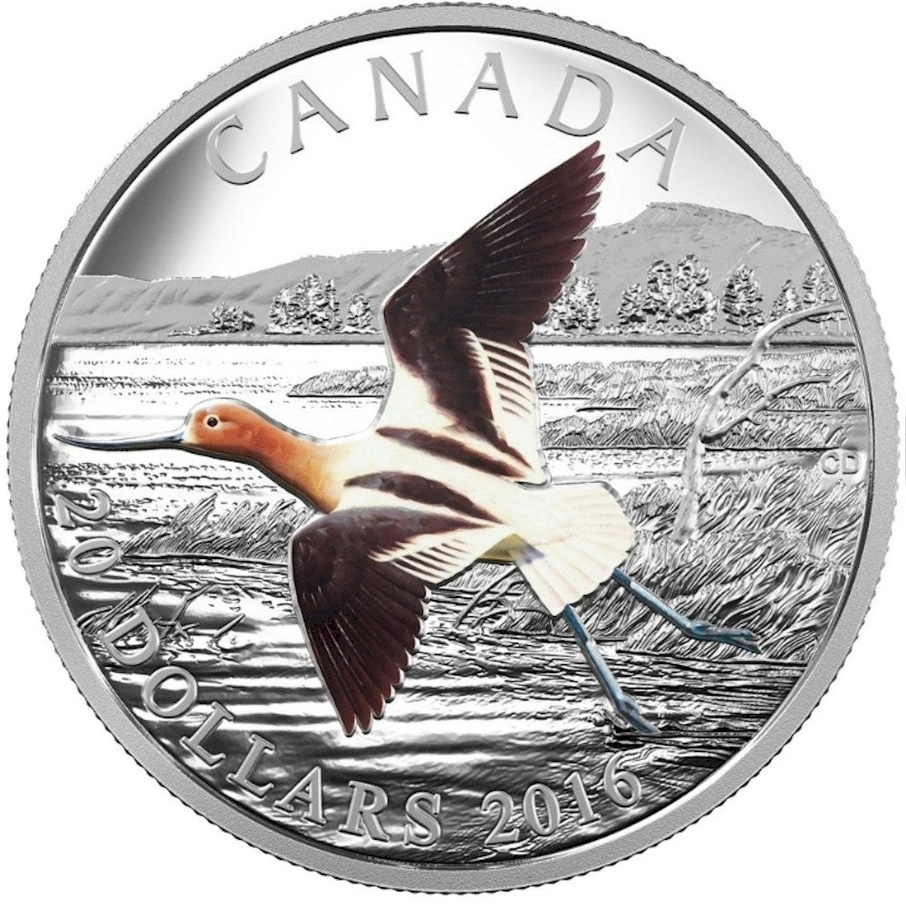 RDC 2016 Canada $20 The American Avocet Silver (No Tax) impaired