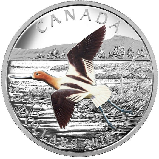 RDC 2016 Canada $20 The American Avocet Silver (No Tax) impaired