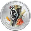 RDC 2008 25-cent Birds of Canada - Downy Woodpecker (sleeve scuffed)