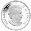 RDC 2015 Canada $25 Star Charts - Eternal Pursuit Silver (No Tax) scratched capsule