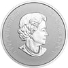RDC 2017 Canada $10 Welcome to the World - Baby Feet Silver (No Tax) toning