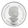 RDC 2007 Canada $20 Iridescent Crystal Snowflake Sterling Silver Coin (Impaired)