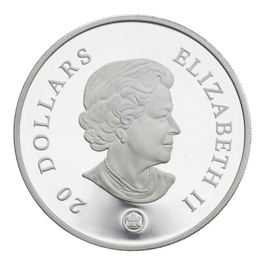 RDC 2007 Canada $20 Iridescent Crystal Snowflake Sterling Silver Coin (Impaired)