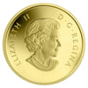 RDC 2011 Canada 50-cent Wood Bison 1/25oz. Fine Gold Coin (No Tax) Capsule Scratched