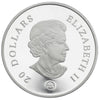 RDC 2008 Canada $20 Sapphire Crystal Snowflake Fine Silver (lightly toned)