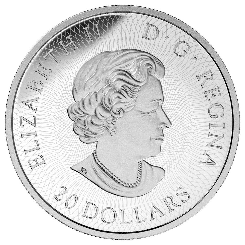 RDC 2016 Canada $20 Maple Leaf Maze Fine Silver Coin (No Tax) Impaired