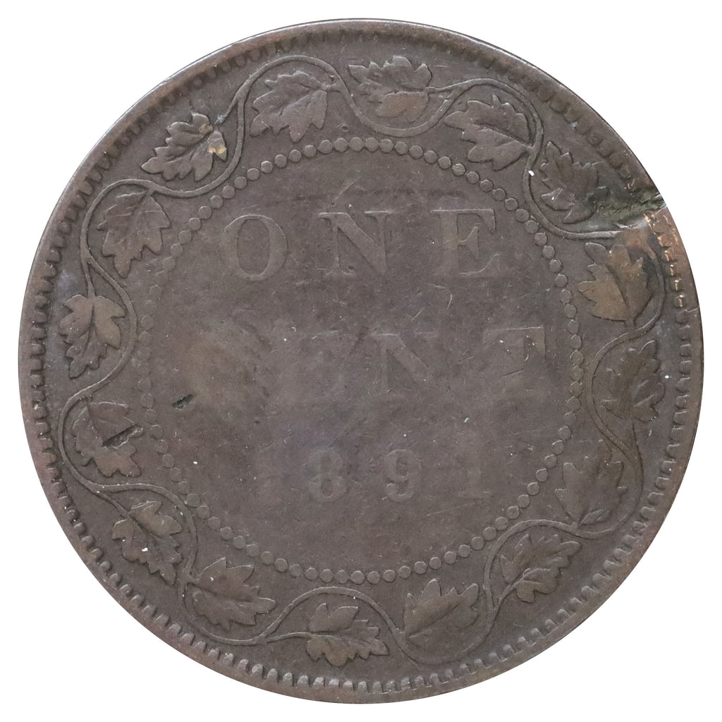 1891 SDSL Obv. 3 Canada 1-cent Very Good (VG8) Scratched, marks, or impaired
