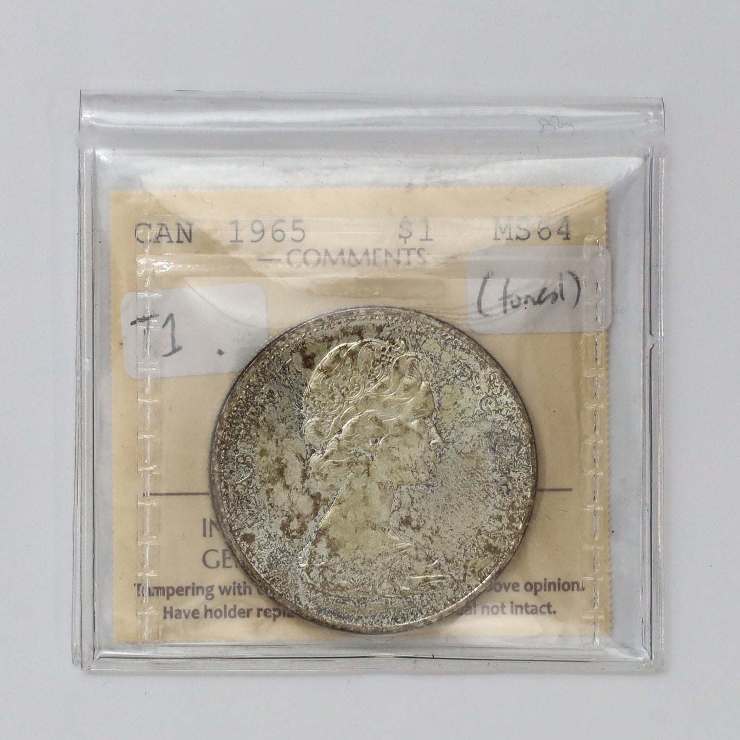 1965 Small Beads Ptd. 5 (Type 1) Canada Dollar ICCS Certified MS64 (Toned)