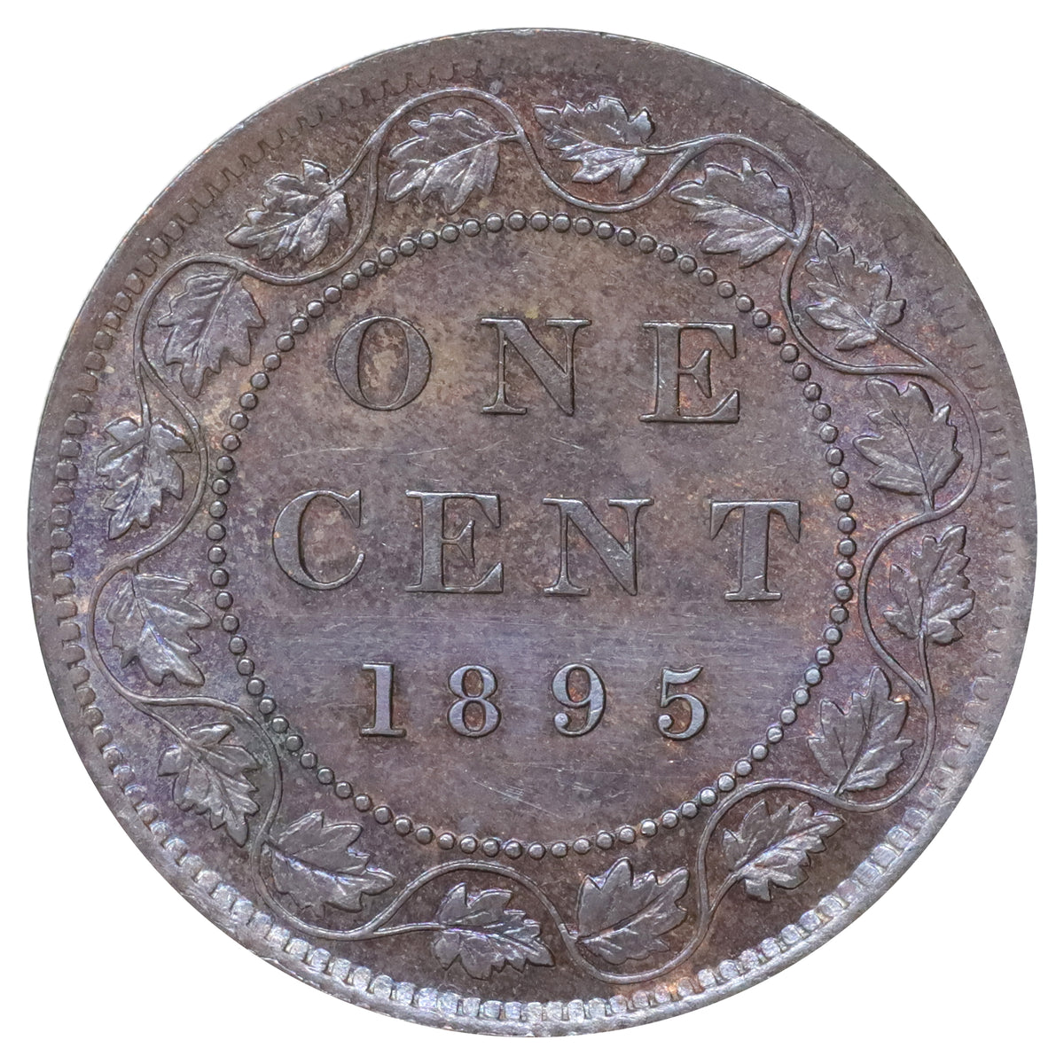 1895 Canada 1-cent UNC+ (MS62) Scratched, marks, or impaired