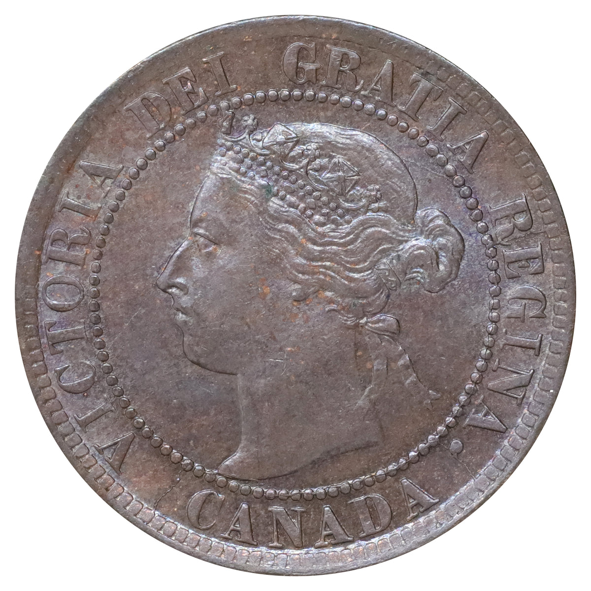 1895 Canada 1-cent UNC+ (MS62) Scratched, marks, or impaired