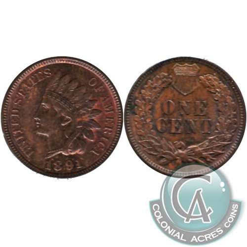 1891 USA Cent AU-UNC (AU55)