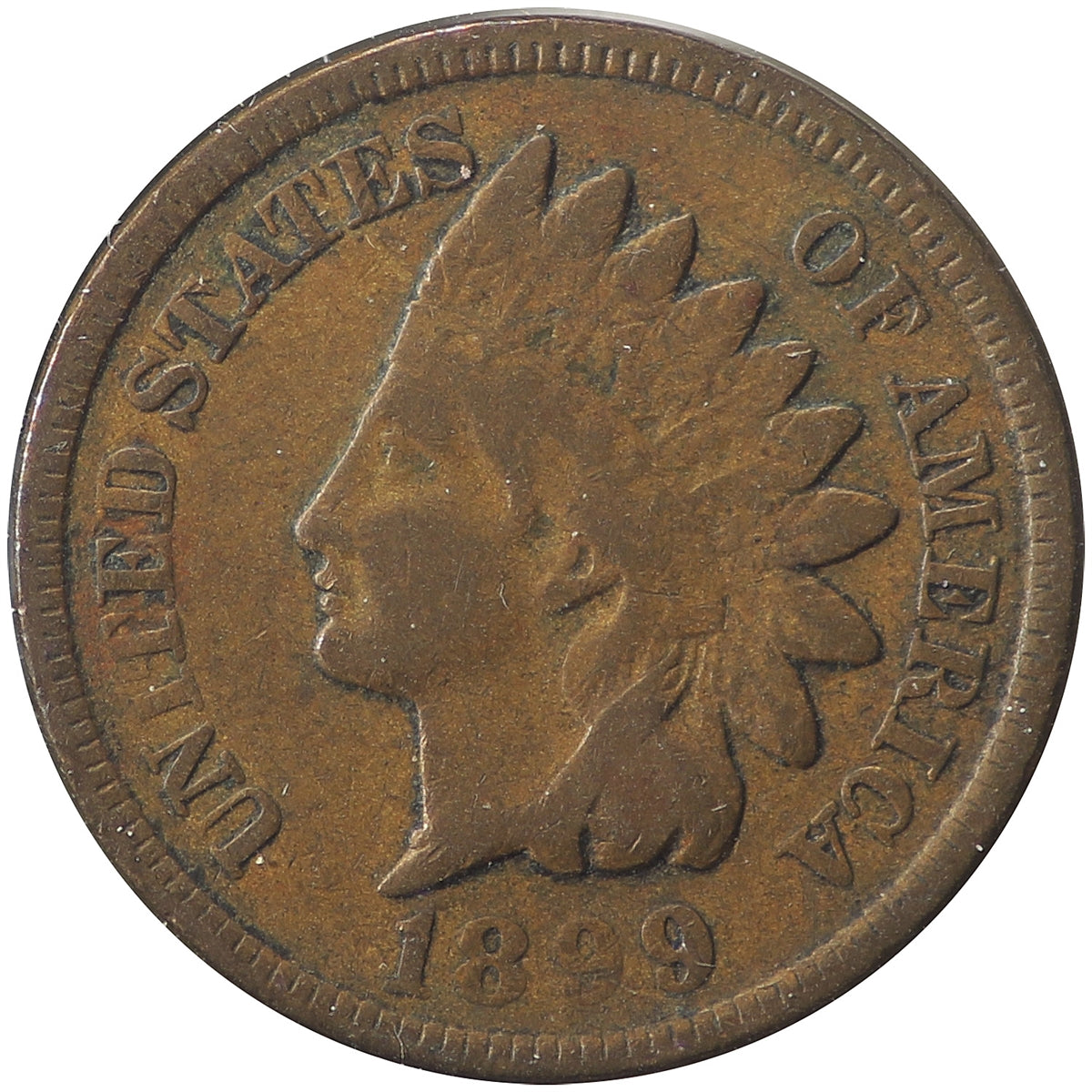 1899 USA Cent Very Good (VG8)