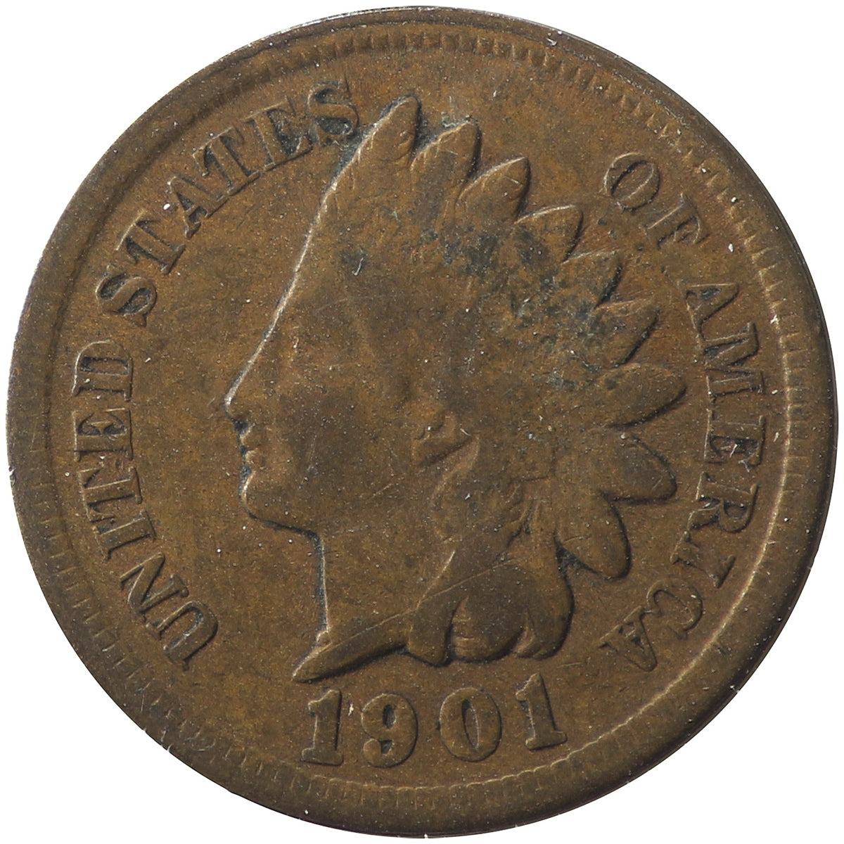 1901 USA Cent Very Good (VG8)
