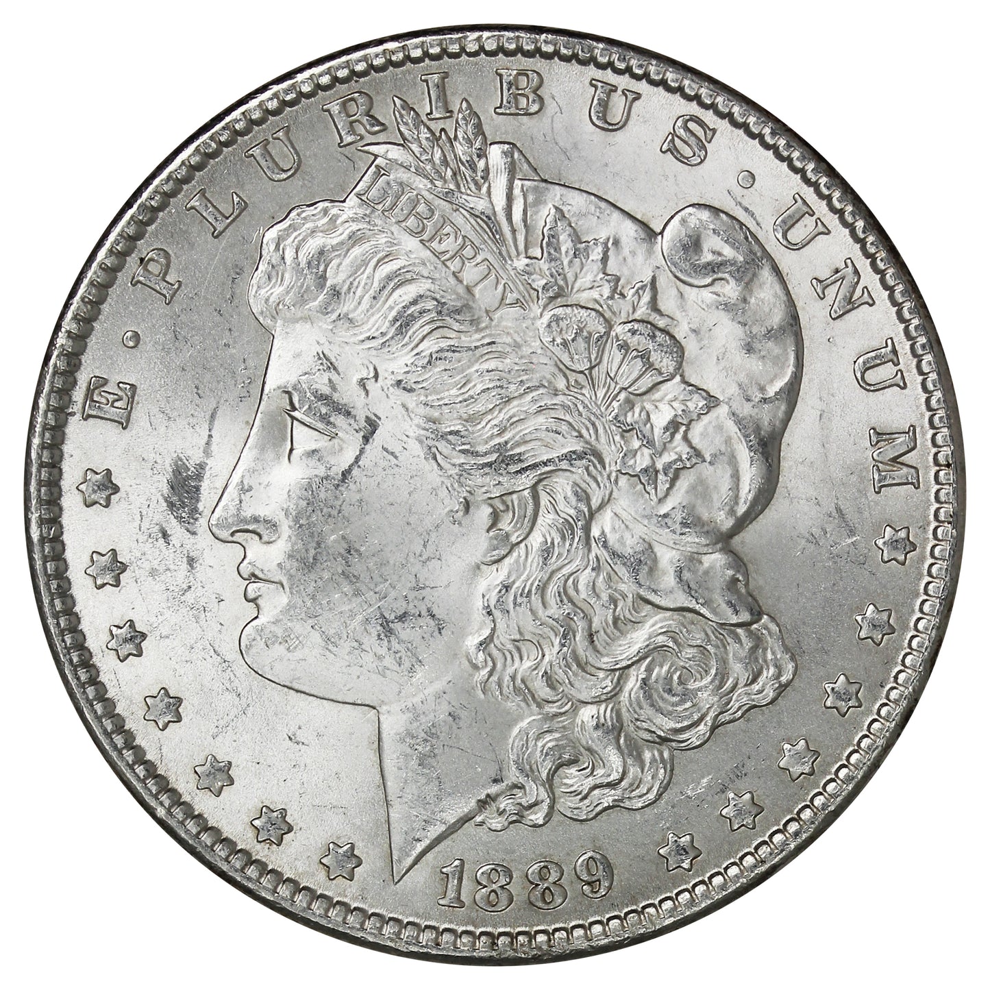 1889 USA Dollar Brilliant Uncirculated (MS63) $