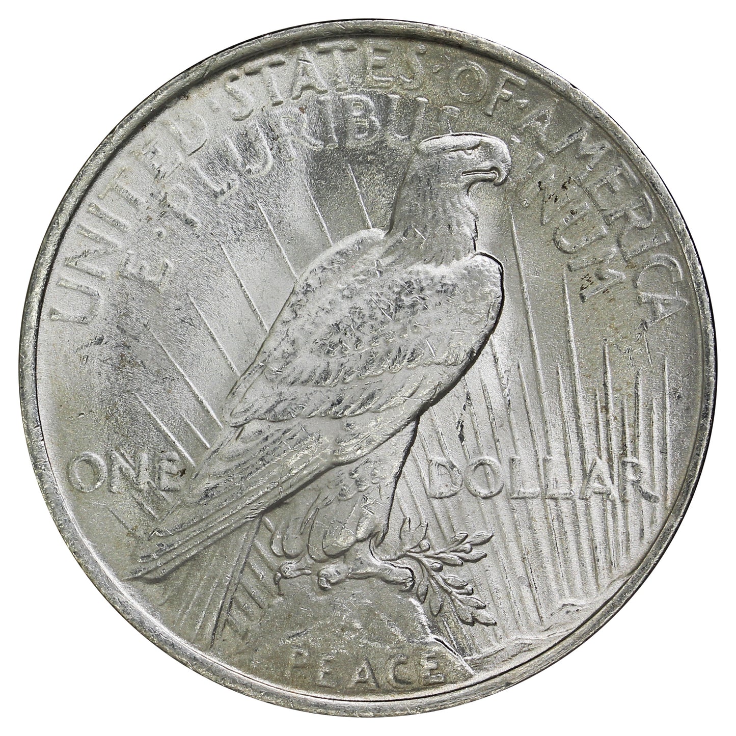 1923 USA Dollar Choice Brilliant Uncirculated (MS64) $