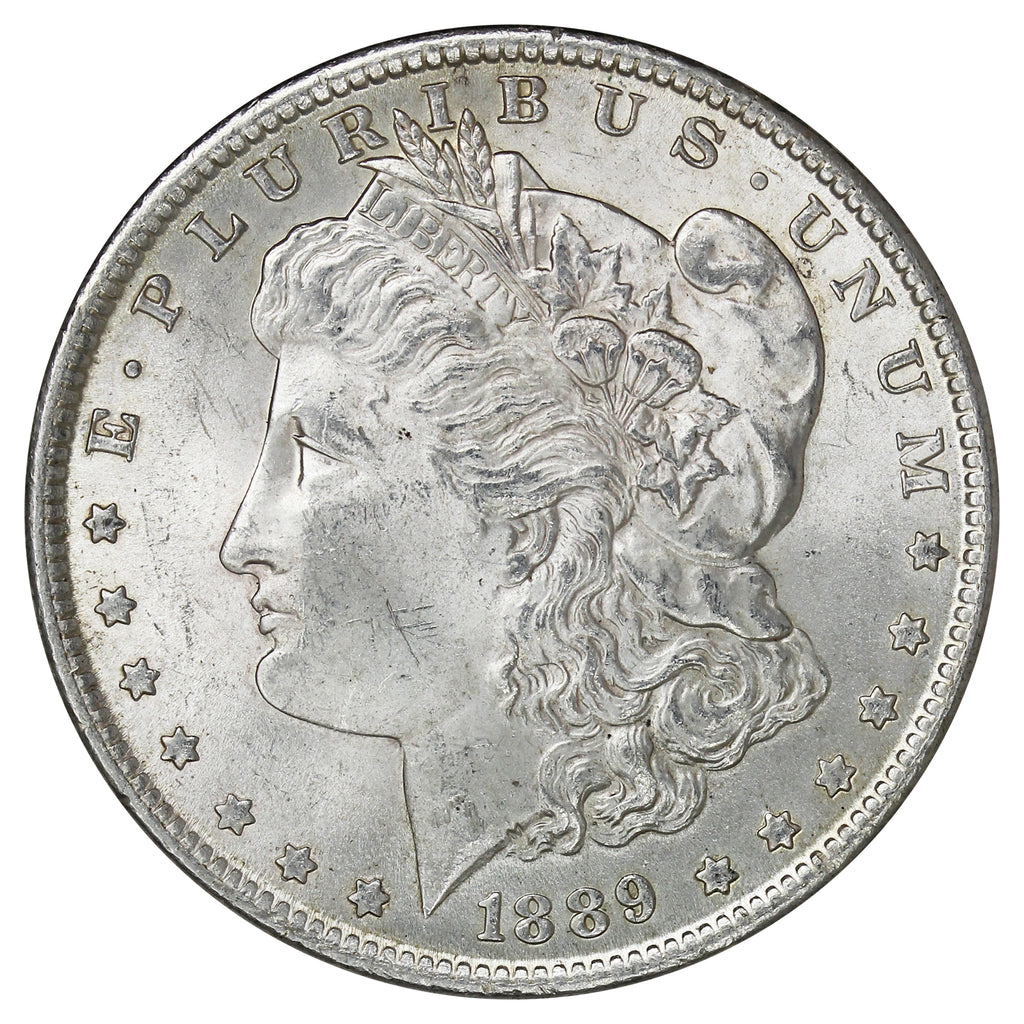 1889 USA Dollar Choice Brilliant Uncirculated (MS64) $