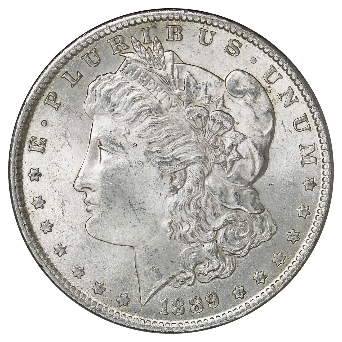 1889 USA Dollar Choice Brilliant Uncirculated (MS64) $