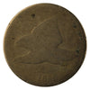 1858 Large Letters USA Cent Filler